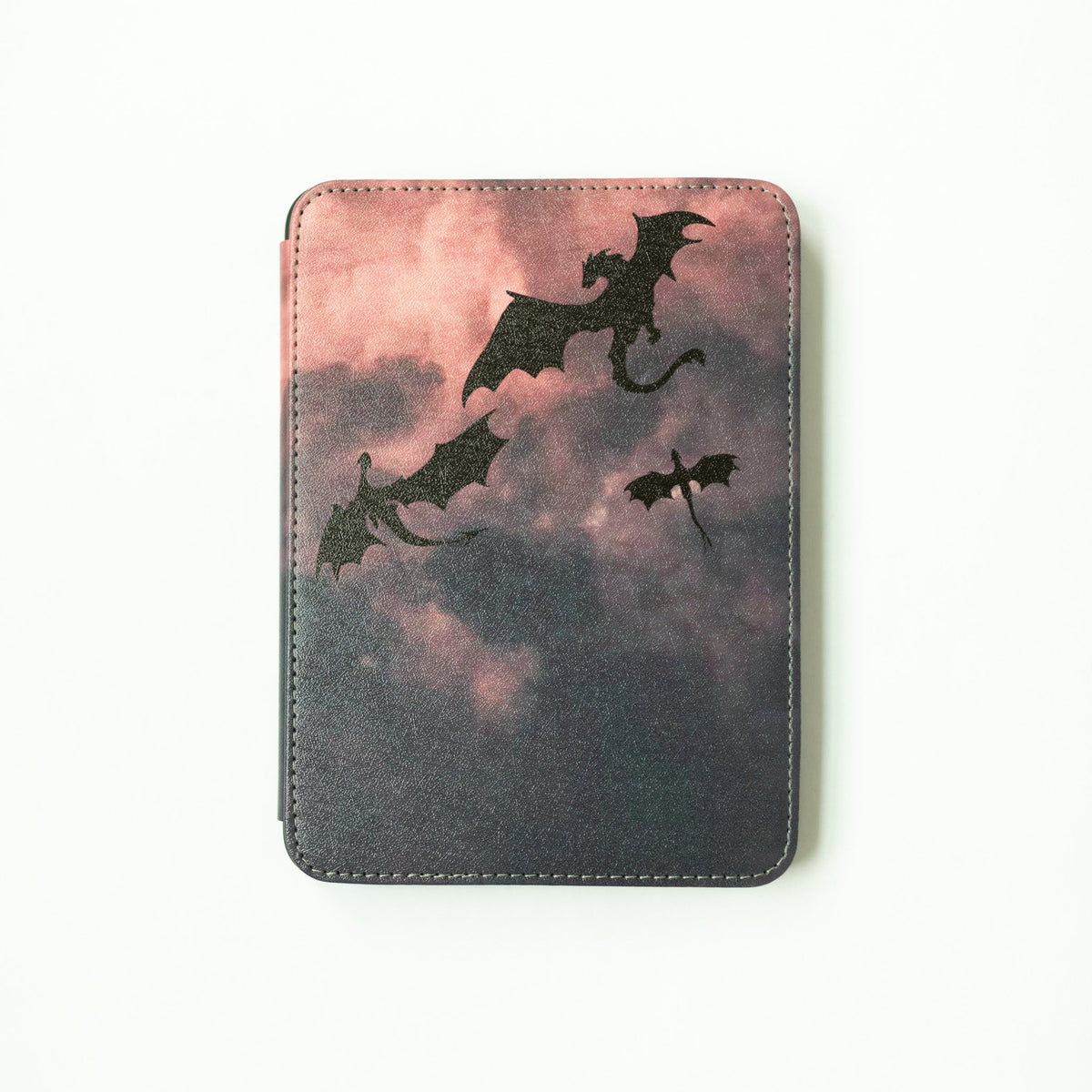 Dragon Rider eReader Case