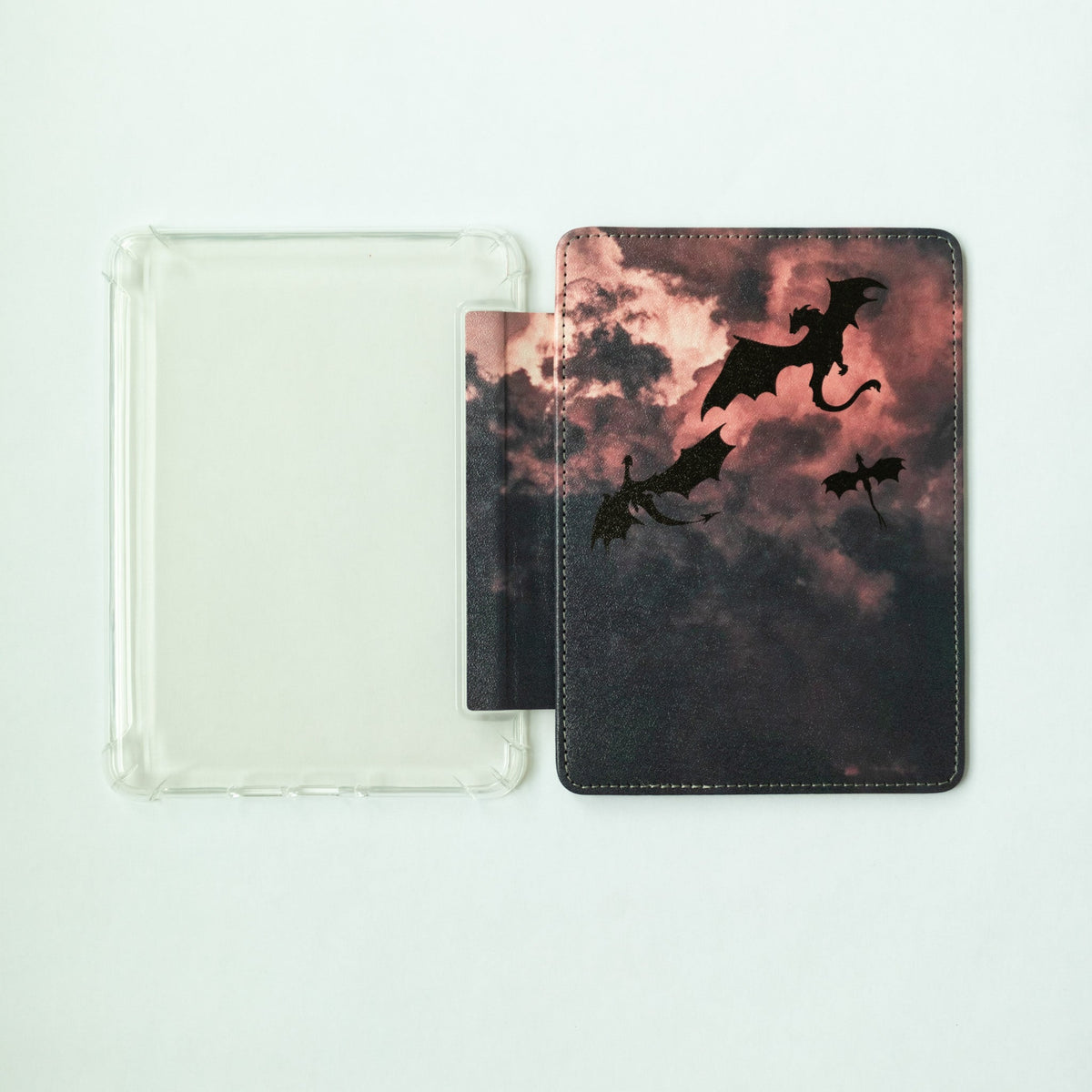 Dragon Rider eReader Case